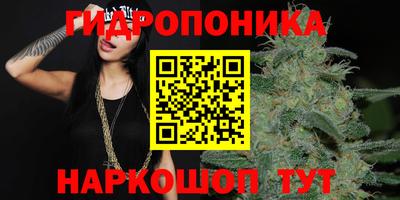 2c-b Кунгур