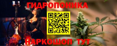 стаф Кулебаки